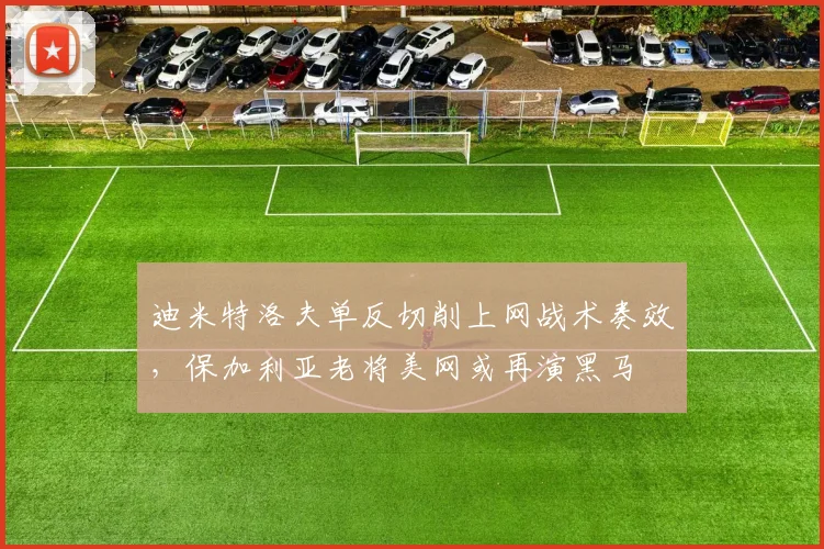 迪米特洛夫单反切削上网战术奏效，保加利亚老将美网或再演黑马
